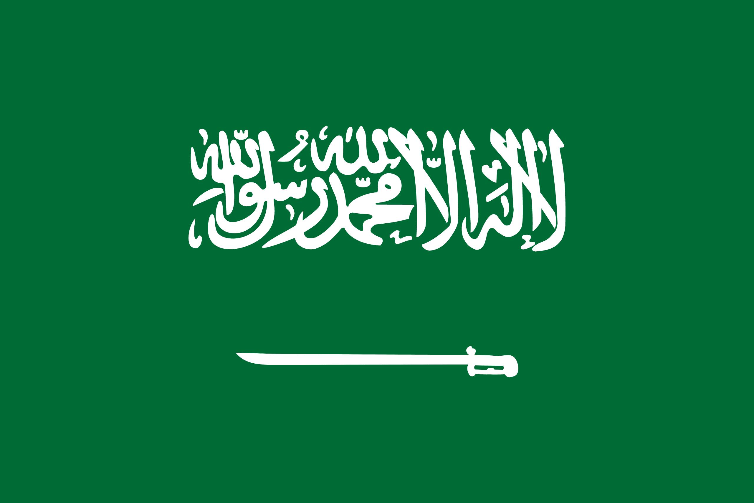 沙特阿拉伯 flag