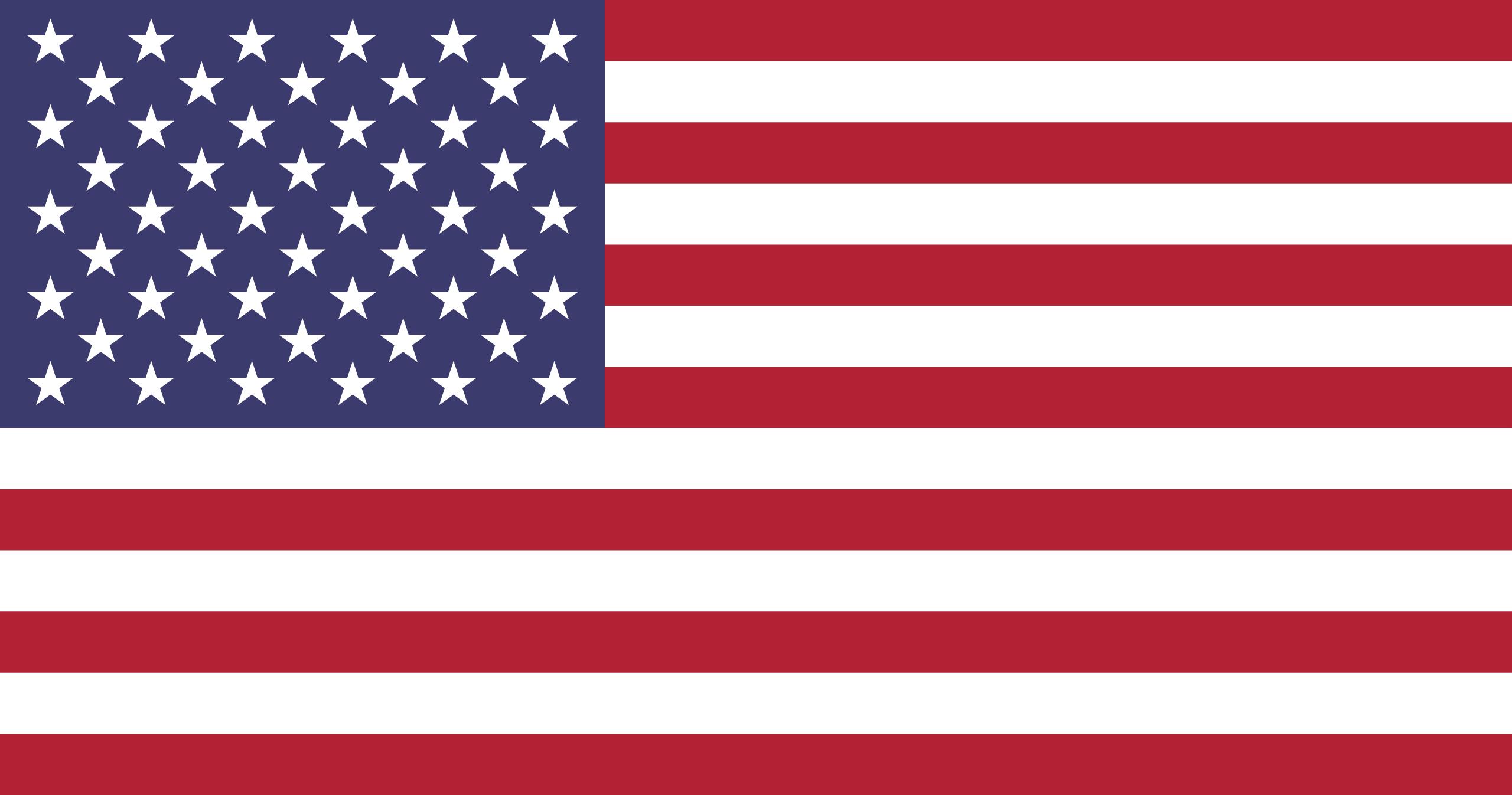 美国 flag