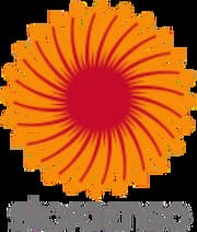 斯道拉恩索(Stora Enso)公司