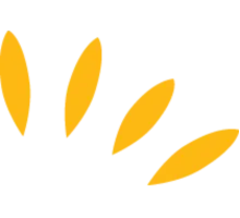 孟加拉Epyllion集团品牌logo