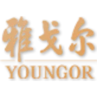 Youngor 雅戈尔集团股份有限公司